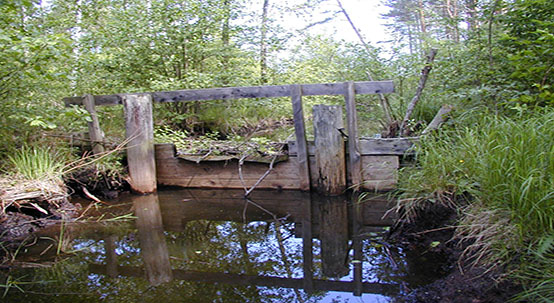 På bilden syns ett vattendrag i en skog och i vattnet står ett skydd/träplank.